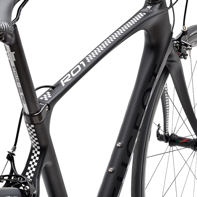 Détail du Cadre carbone Peugeot R01
